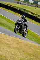 Middle Group Black Bikes